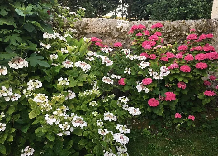 Bed & Breakfast La Chartreuse Larroque-Engalin