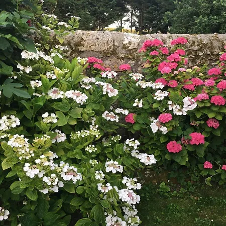 住宿加早餐酒店 La Chartreuse Larroque-Engalin