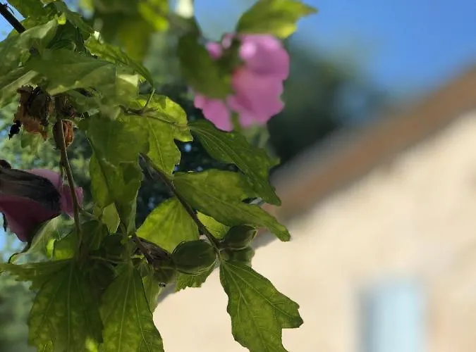 La Chartreuse Bed and Breakfast